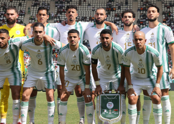 محاربي الصحراء