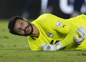 محمد الشناوي