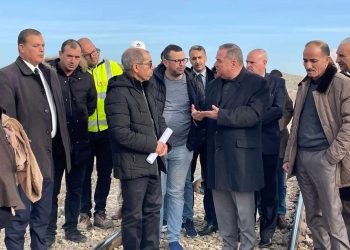 مشروع ازدواجية