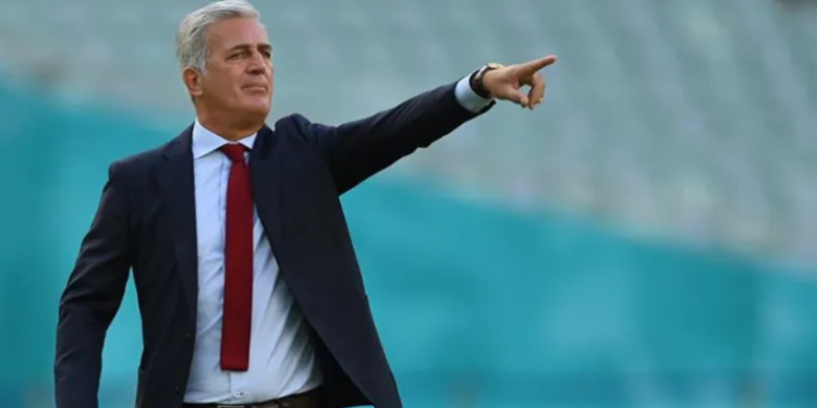 فلاديمير بيتكوفيتش