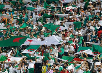 Algeria supporters cheer during the 2019 Africa Cup of Nations (CAN) Semi-final football match between Algeria and Nigeria at the Cairo International stadium in Cairo on July 14, 2019. (Photo by FADEL SENNA / AFP)        (Photo credit should read FADEL SENNA/AFP/Getty Images)