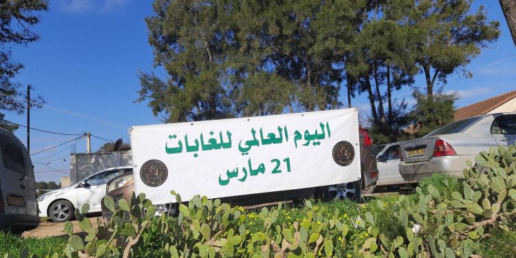 اليوم العالمي للغابات