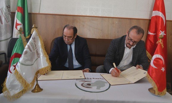 جامعة محمد بن أحمد