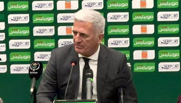 فلاديمير بيتكوفيتش