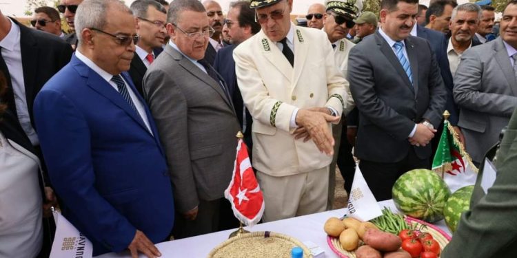 الصناعات الغذائية