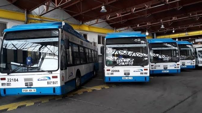 "إيتوزا" تطلق خطين جديدين