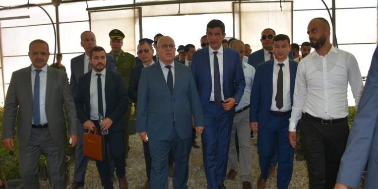 نتائج الإحصاء العام للفلاحة