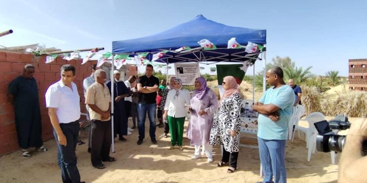 زراعة عباد الشمس والذرة