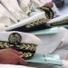 حركة جزئية في سلك الولاة والولاة المنتدبين