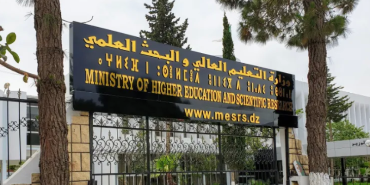 تعليم عالي