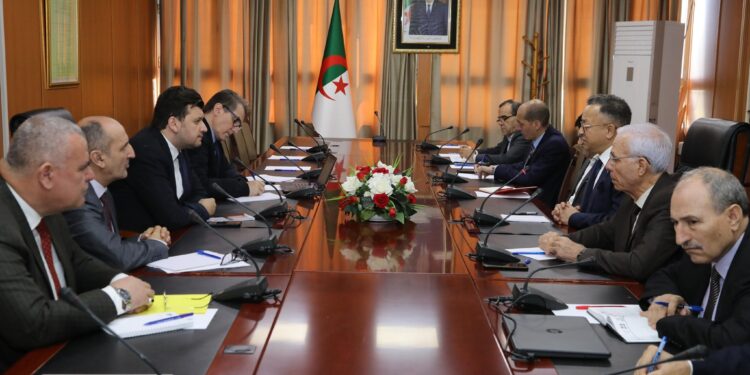 التعليم العالي