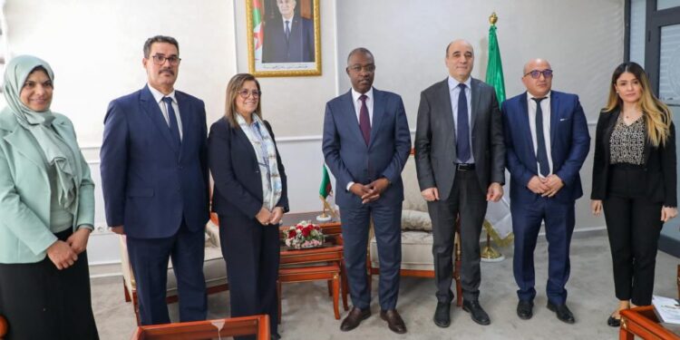 حيداوي يؤكد على ضرورة تعزيز مهارات الشباب باعتبارهم القوة الدافعة لتحقيق التنمية