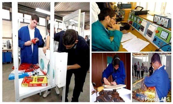 البكالوريا المهنية