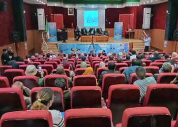 دورة تكوينية