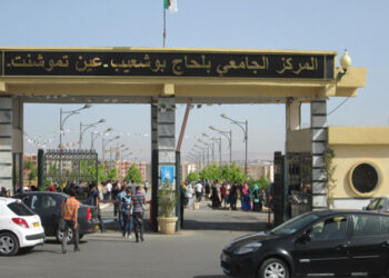 جامعة عين تيموشنت
