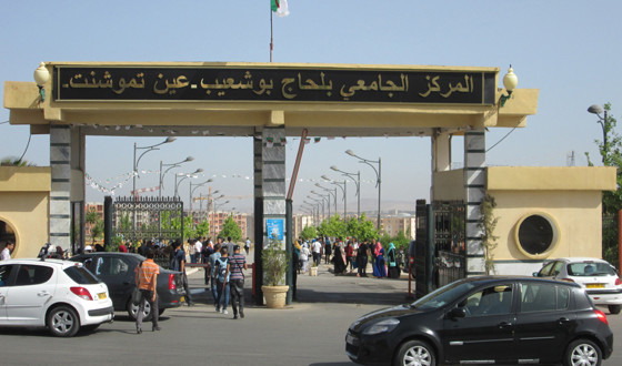 جامعة عين تيموشنت