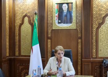 وزيرة السياحة والصناعة التقليدية