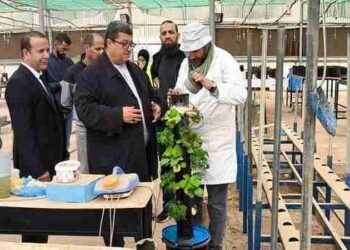 جامعة الجلفة