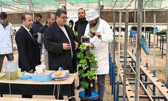 جامعة الجلفة