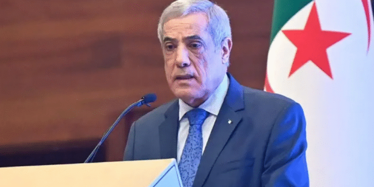 مجلس مساهمات الدولة