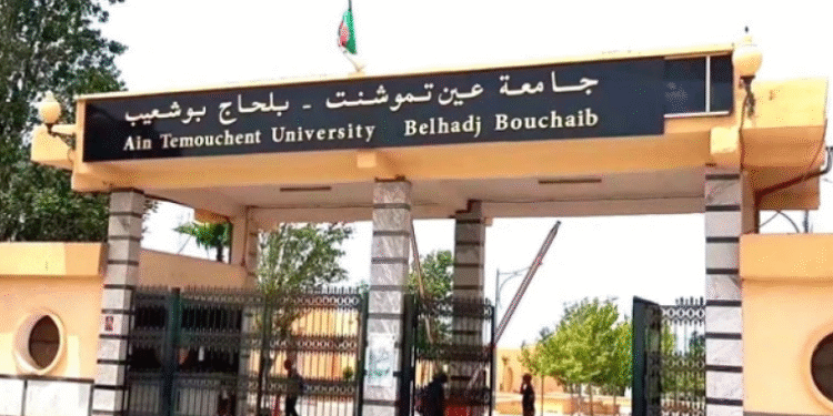 جامعة بلحاج بوشعيب