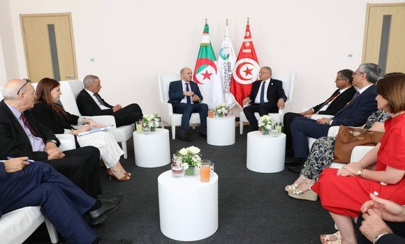 الصناعات الصيدلانية المحلية