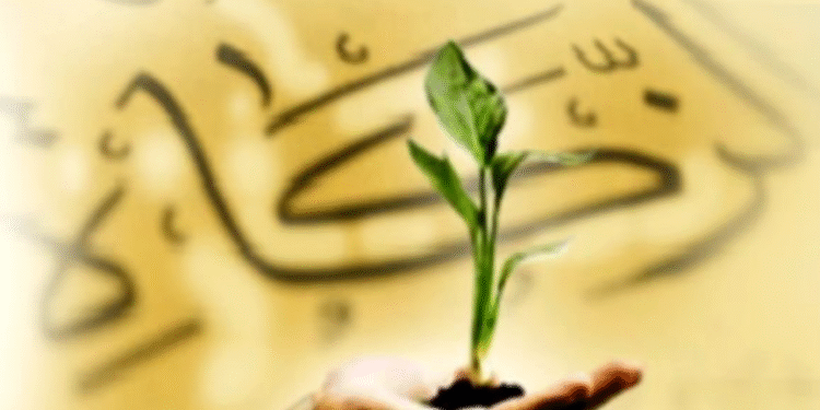 نصاب الزكاة
