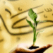 نصاب الزكاة