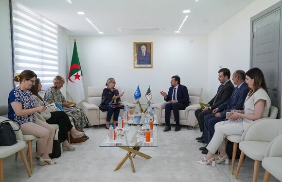 الأمم المتحدة