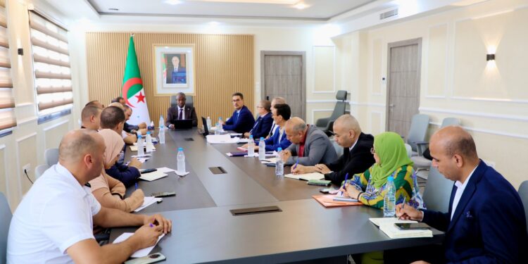 التأكيد على مواصلة رقمنة الخدمات الموجهة للشباب والجمعيات الشريكة