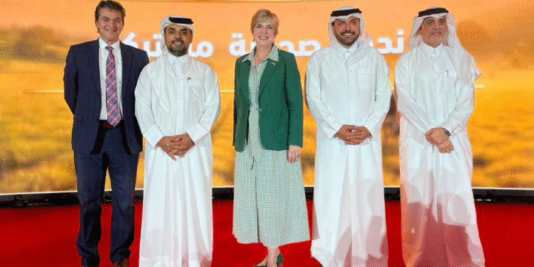 الأبقار الحلوب