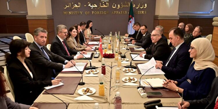 الدورة الثانية للمشاورات السياسية الجزائرية-التركية