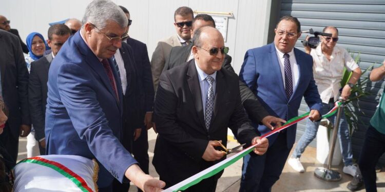 وزير الصناعة