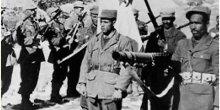 السينما ذاكرة الثورة