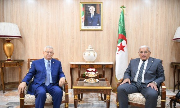 الأداء البرلماني