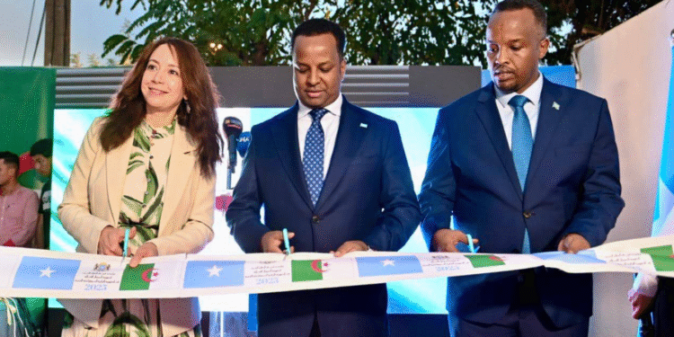 تدشين