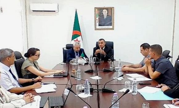 زروقي