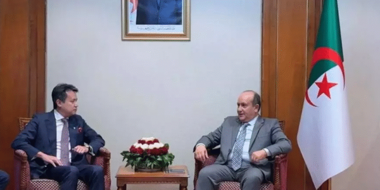 خمسة مجالات