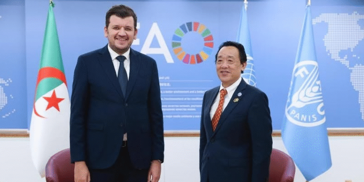 الأمن الغذائي