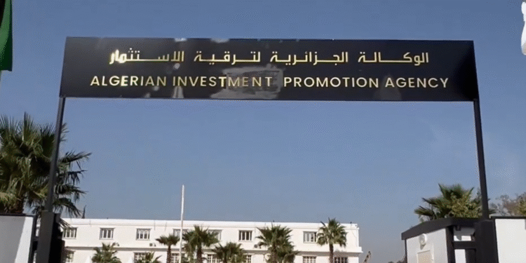 الحملة الوطنية للتشجير