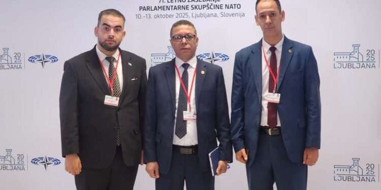مجلس الأمة