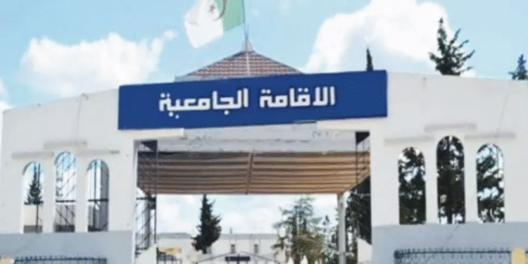 الديوان الوطني للخدمات الجامعية
