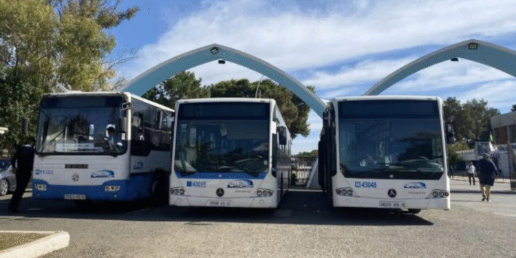 خط نقل جديد