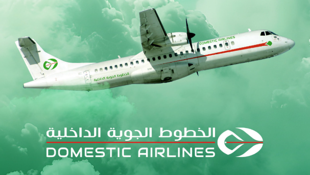 الخطوط الجوية الداخلية