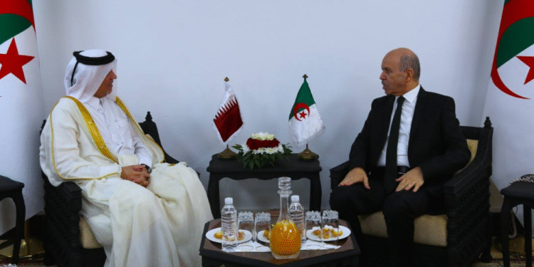 الجزائر قطر