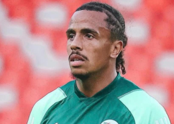 مهدي دروفال