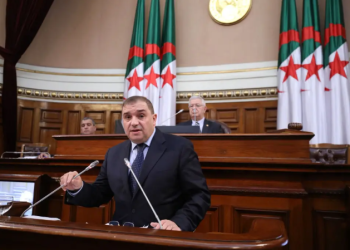 لطفى بوجمعة