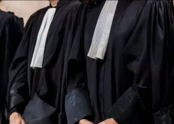 فتح مسابقة الالتحاق بالتكوين للحصول على شهادة الكفاءة لمهنة المحاماة