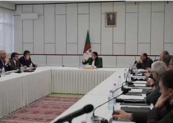 وزيرة التجارة الداخلية