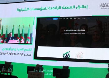 المؤسسات الشبانية